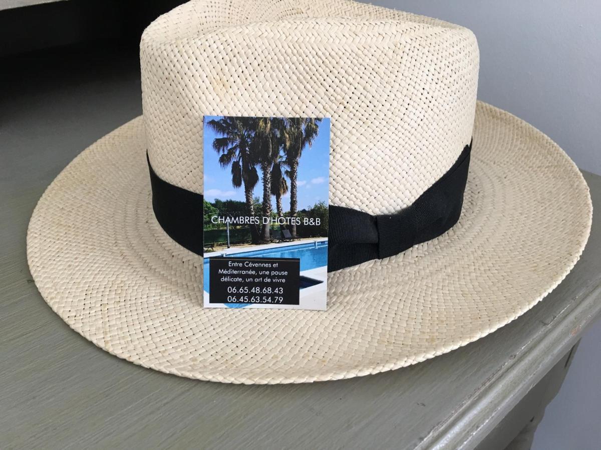 La Villa Mediterranee Wellness Spa PiscineSaint-Drezery エクステリア 写真