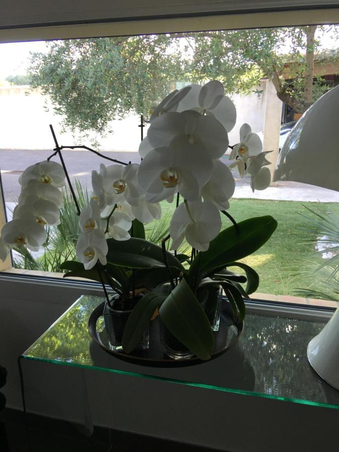 La Villa Mediterranee Wellness Spa PiscineSaint-Drezery エクステリア 写真