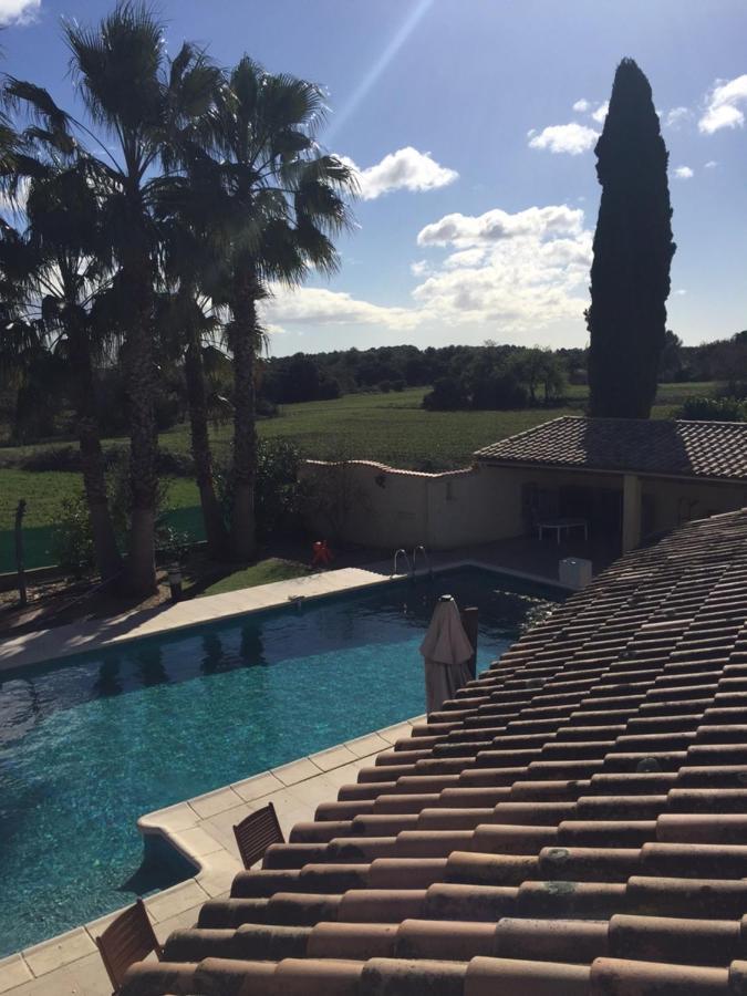La Villa Mediterranee Wellness Spa PiscineSaint-Drezery エクステリア 写真